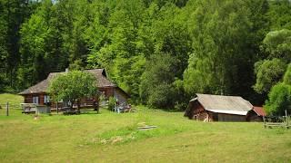 Beyond Civilization. A Day with a Self-Sufficient Family in the Remote Wilderness