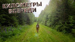 Километры впереди