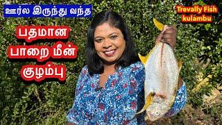 ஊர்ல இருந்து வந்த மீன் பார்சல்..பக்குவமான பாறை மீன் குழம்பு / Trevally fish kulambu