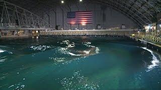 The Navy's Indoor Ocean