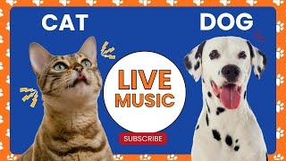 24/7 Music for Dogs and Cats Home Alone | Keep Your Pets Entertained and Happy 