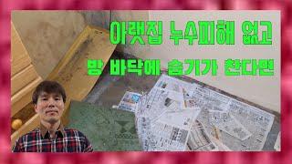 누수 피해 없이 장판 속 습기 발생과 곰팡이 발생 이유와 대책 (Moisture and mold growth in the floor coverings and solutions)