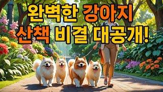 반려견을 위한 완벽한 산책 코스 #강아지 #반려견 #산책 #과학 #비타민