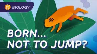 Animal Behavior: Why This Toad Is Bad at Jumping: Crash Course Biology #49