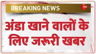 अंडा खाने वालों के लिए जरूरी खबर | Breaking News | Egg | Haridwar | Uttarakhand | Hindi News |Latest