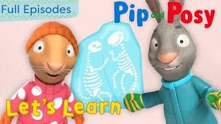 Ice Explorers | Pip and Posy Let's Learn | @pipandposyworld