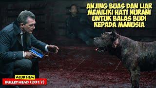 Kisah Anjing Yang Melakukan Bals Budi Kepada Manusia Yang Menolongnya | Alur Cerita Film BULLET HEAD