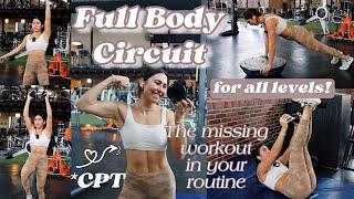 THE WORKOUT YOU'VE BEEN NEEDING!! | FULL BODY CIRCUIT TUTORIAL | Beginner & Advanced Versions