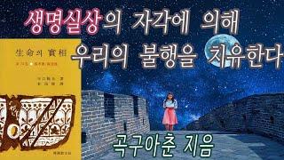 생명의 실상 1 (곡구아춘 저) 모든 고통을 해결하는 생명의 실상