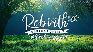 Rebirth  lofi hip hop & chillhop mix | Best of KUPLA | Spring Vibes lofi playlist (1 hour)