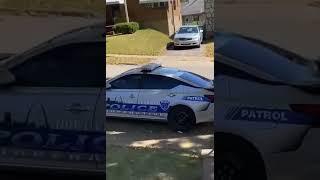 woman steals cop car and crashes