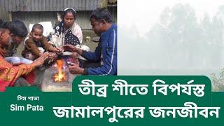 তীব্র শীতে বিপর্যস্ত জামালপুরের জনজীবন || জামালপুর Jamalpur || Sim Pata News