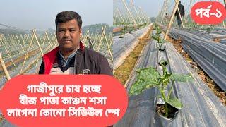 গাজীপুরে চাষ হচ্ছে কাঞ্চন শসা লাগেনা কোনো সিডিউল স্পে | কাঞ্চন শসা চাষ পদ্ধতি | cucumber agro