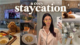 solo staycation | a cozy night away in the lake district with freddie!! 