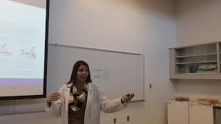 DNA Structure, Replication, and Organization- Dr.  Jessica Guerrero