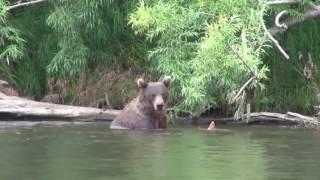 The Bears! Fun with animals!