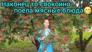 46.Наконец-то спокойно  можно покушать мясное блюдо‍️I can finally eat meet without problem ‍️