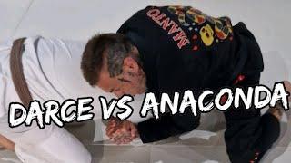 Darce VS Anaconda.