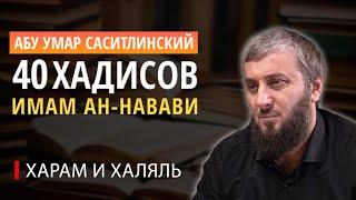 Шестой хадис "Дозволенное и запретное" | 40 хадисов ан-Навави [8 урок] | Абу Умар Саситлинский