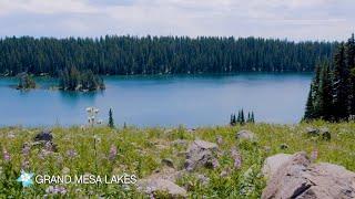 Colorado’s Grand Mesa Scenic Byway