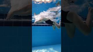 평영 이미지 트레이닝 (feat.더포스 수영) #swimming #swimmer #평영 #수영