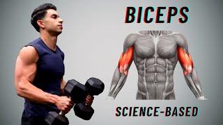 How To Build Your Biceps | Anatomy & Optimal Training