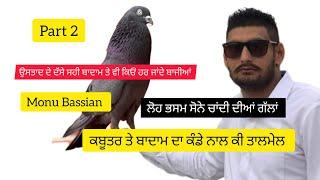 Ik Shonk kabootarbaazi Da Full Interview Part 2 Monu Basian ਭਸਮਾਂ ਕਦੋਂ ਦੇਣੀਆਂ ਤੇ ਕੰਡੇ ਨਾਲ ਕਿਵੇਂ ਤੋਲ