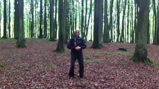 Q i g o n g   F l o w Chen Taiji Bern - Taiji | Qiong | Kungfu