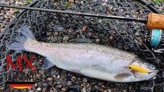 Forellenfischen im Sommer nach langer Hitze!/ Forellen fischen mit Kunstködern/ Trout Area