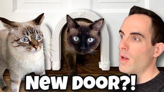 The Meow Manor Cat Door: Review and Installation