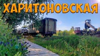 Kharitonovskaya narrow-gauge railway. Train cemetery. Part 1.