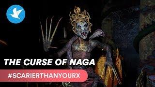 THE CURSE OF NAGA | Halloween Horror Nights 9 at Universal Studios Singapore