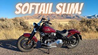 Softail Slim!  Why I traded in my Softail Standard.