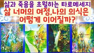 [타로] 삶과 죽음을 초월한 타로메세지! '죽음 이후, 나의 의식은 어떻게 이어질까?'