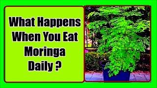 Benefits of Moringa For Men and Women | What Happens When You Eat Moringa Everyday