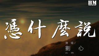 劉心 - 憑什麼說『你說你愛我愛我愛我愛我 憑什麼說』【動態歌詞Lyrics】