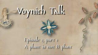 Voynich Talk E1 (1/3)