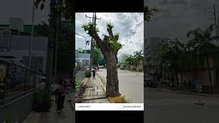 Tecno Camon 30s Camera Test