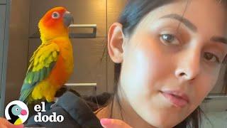 A este loro le encanta ducharse con su mamá | El Dodo