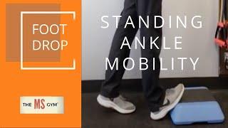 MANAGING FOOT DROP - STANDING ANKLE MOBILITY - Exercises for Multiple Sclerosis