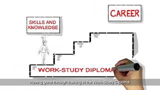 ITE Work-Study Diploma Programme