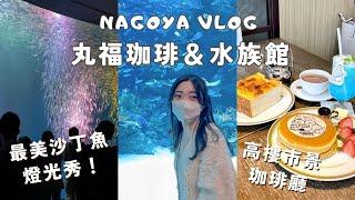 【名古屋】日本最大水族館超美表演 名古屋一定要吃的咖啡廳早餐️｜日本Vlog EP.18｜Juliyenyen