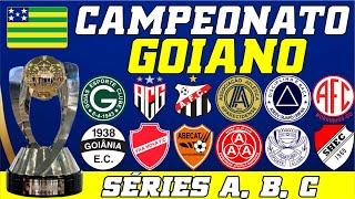 CAMPEONATO GOIANO 2025 - CONFIRA OS PARTICIPANTES