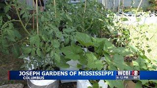 Local gardener looks to help feed Columbus community