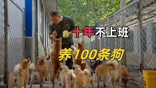 10年不上班，做犬舍，你想不到养100条狗有多爽！