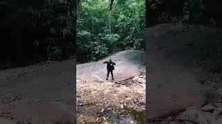 #explore jungle trip enjoying with friends #yt