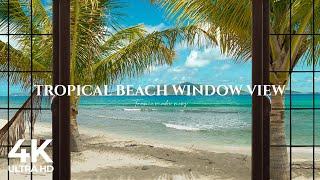 4K Tropical Beach window view in the Caribbean - Palm Trees, Ocean Sounds, Waves, White Noise