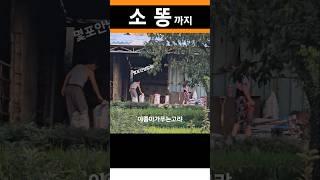 _머더요_남의마굿간에서~? #마굿간 #시골 #도둑