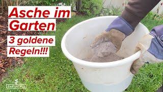 Asche als Dünger im Garten! ACHTUNG: Unbedingt diese Regeln beachten, sonst VERGIFTUNG möglich!