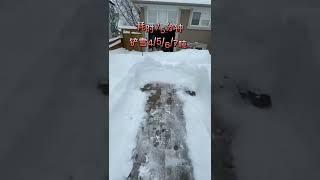 多伦多的冬天 铲雪和工作不可兼得